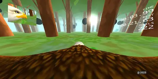 Eagle Ride - Experience the Thrill of Eagle Ride